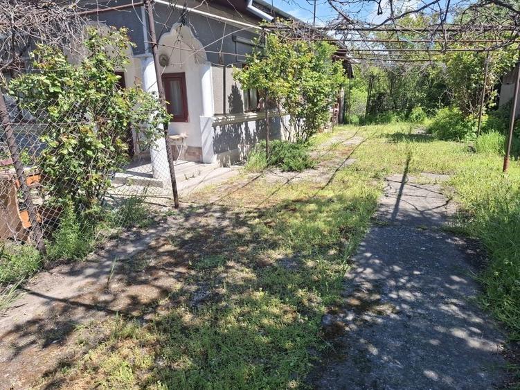 Teren intravilan 2312mp+ casa Vidra Sintesti - 5