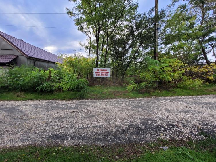 Teren intravilan intre case - 2079 mp - Movilita - 9