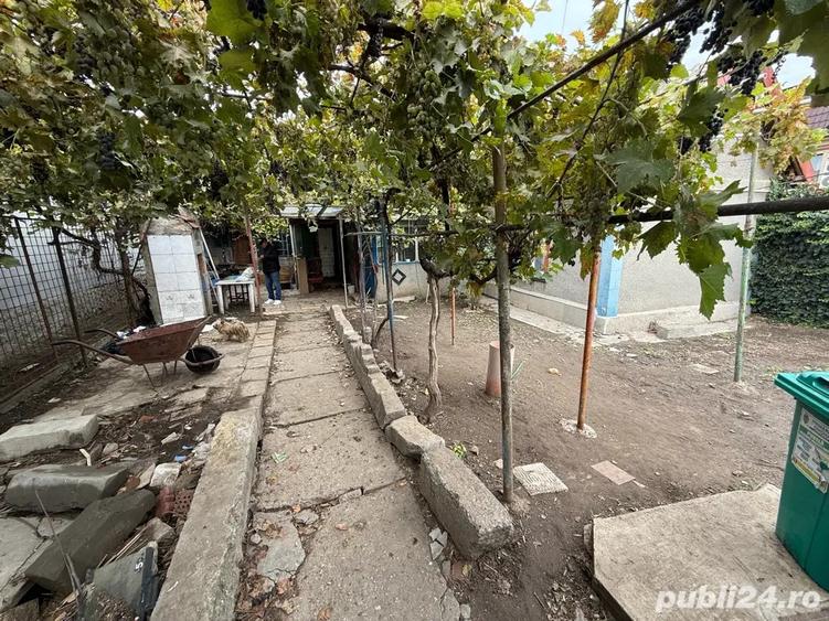 casa batraneasca - 4