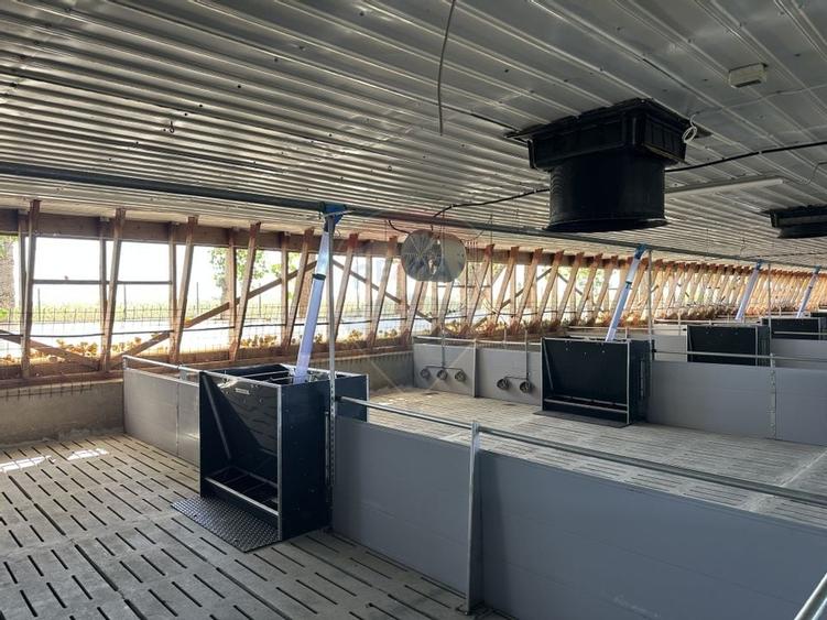 Ferma porcine la cheie - 5