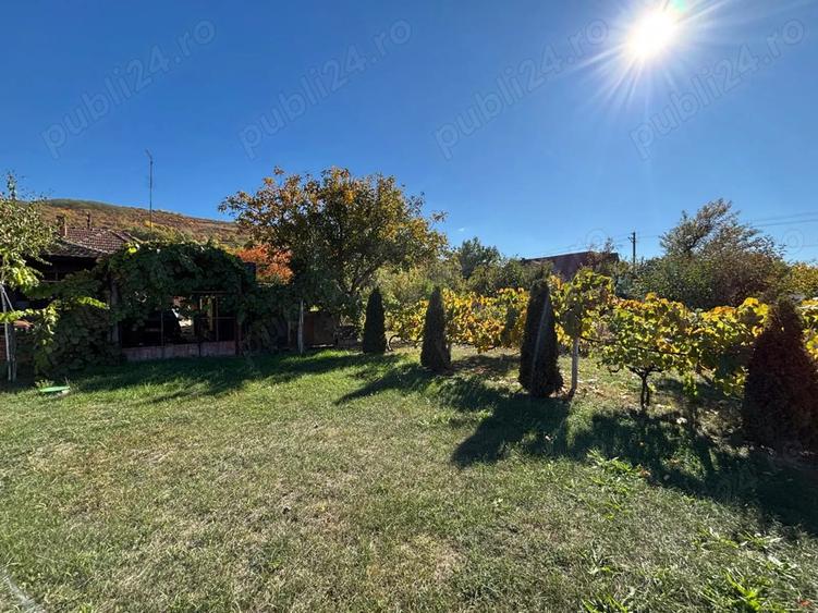 Casa de vanzare in Cuvin - 6