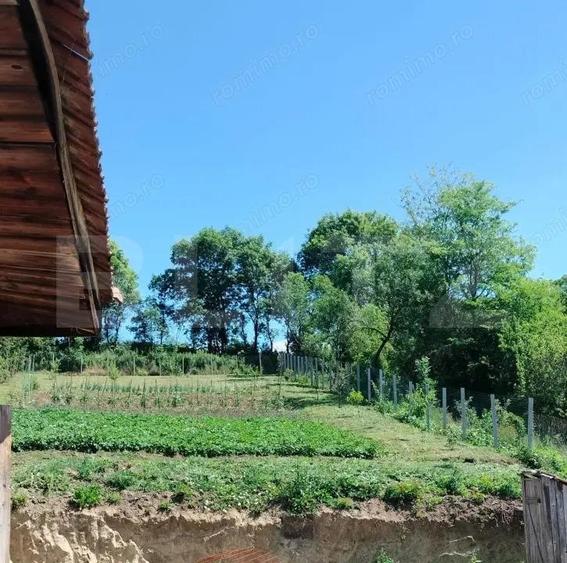 Casa renovabila, 1508 mp teren, Vultureni - 6