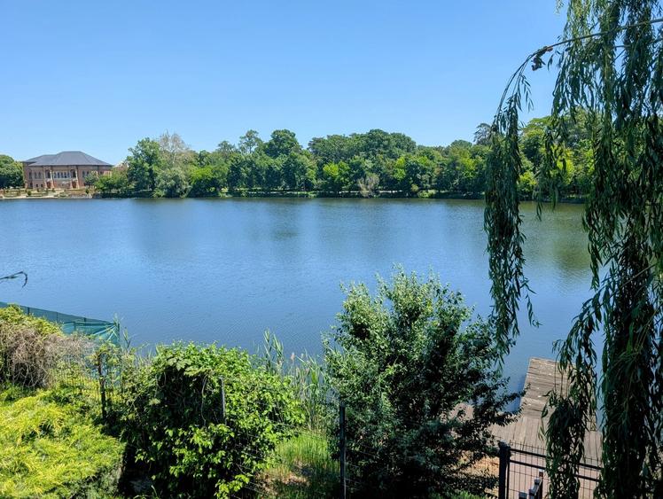 Mogosoaia,vila robusta cu vedere spectaculoasa catre lac,palat,parc,1750mp teren - 1