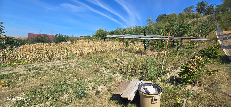 Teren intravilan in Manolesti Deal - 3