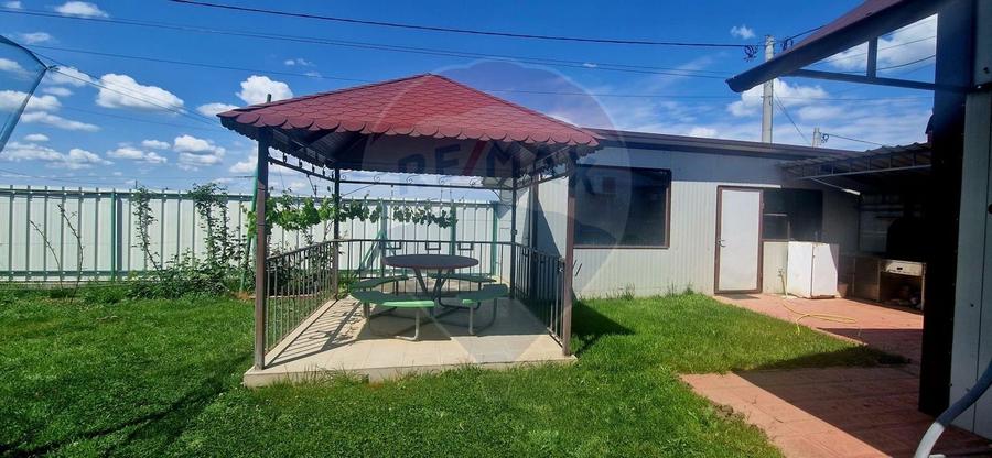 TEREN Investitie livada cu 116 pomi fructiferi in Comuna Livada - 5