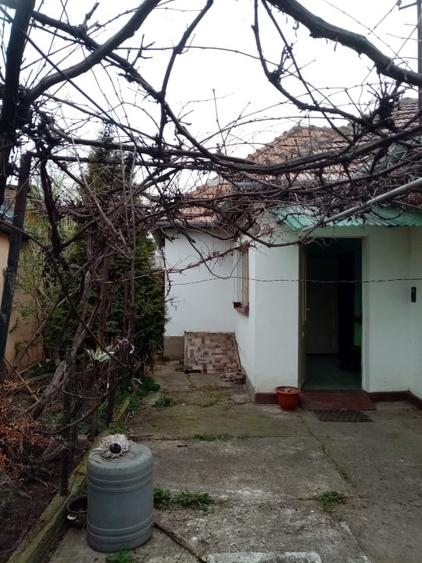 Proprietar închiriez casă în zona în zona Iulius Mall - 10