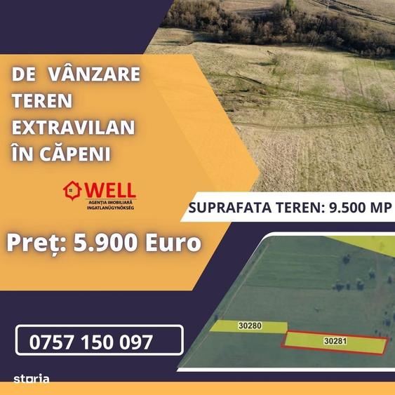 De vanzare teren extravilan in Capeni - 2