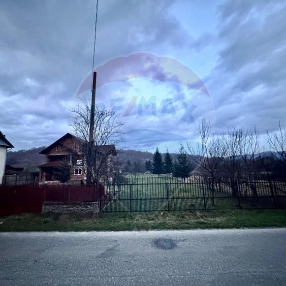 Casa de vis Valea Silistii - spatiu generos, natura si liniste deplina - 13