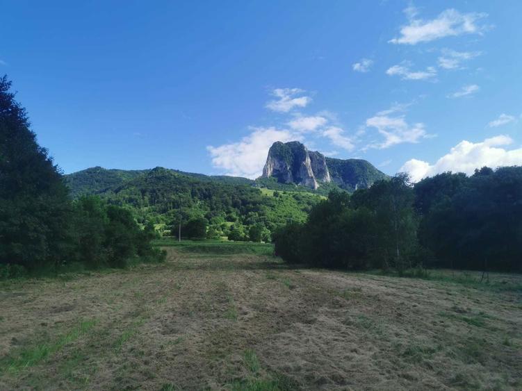 Vand 3650 mp teren Rimetea Jud Alba, cu aut. de construire casa - 2