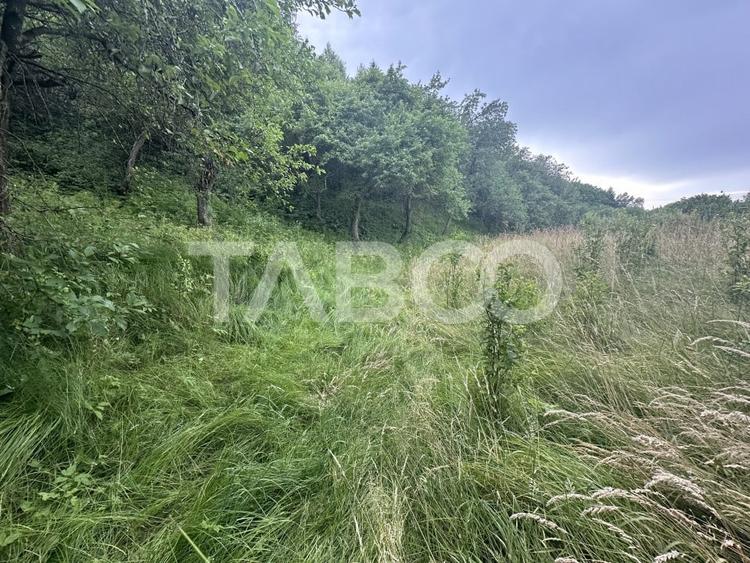 Casa 3 camere 5335 teren liber garaj si anexe  in Sinca Veche - 16