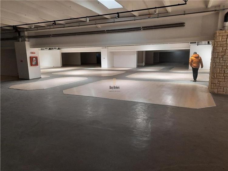 Spatii Comerciale - 500 mp - Showroom - Comert - 5