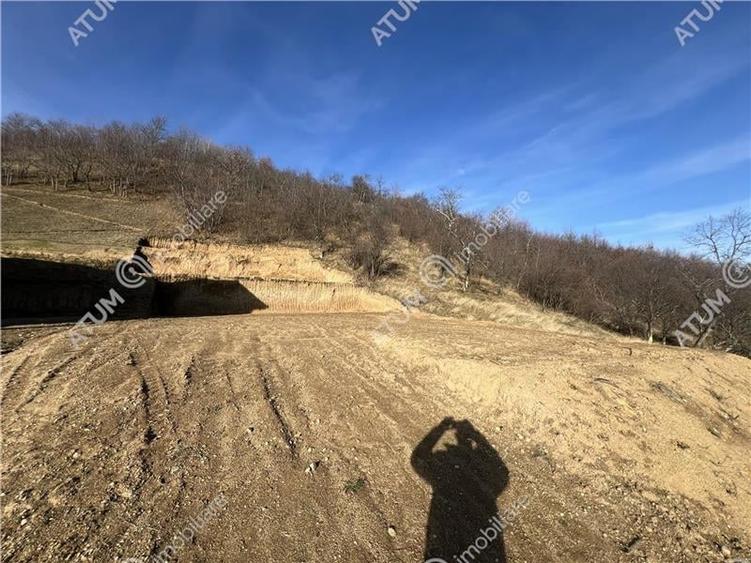 Teren intravilan de 1641 mp cu PUZ aprobat si utilitati in Cisnadioara - 12