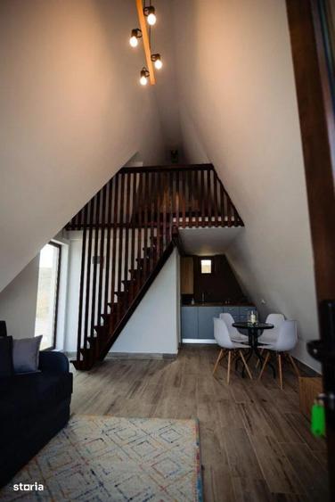 Complex turistic si ferma piscicola ~ Caiuti ~ Bacau - 10