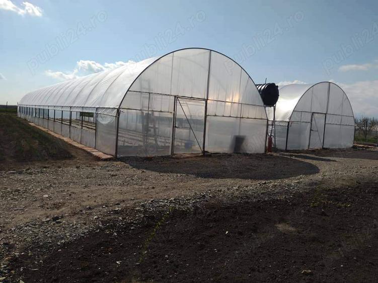 Proprietate de vanzare langa Bucuresti - 5