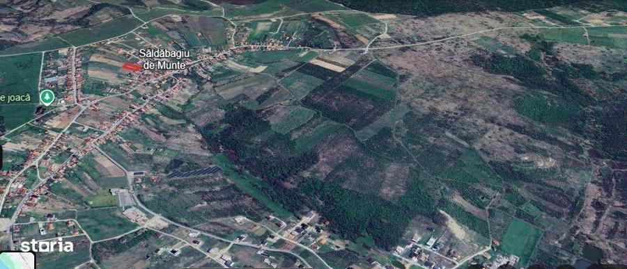 Teren intravilan Saldabagiu de Munte 1100m - 7