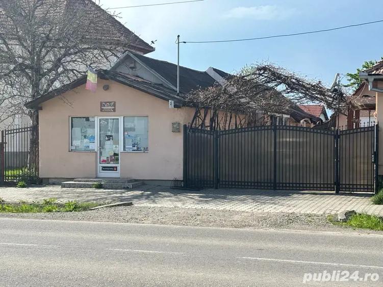 Casa de vanzare+spatiu comercial - 1