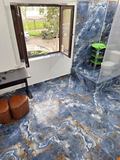 De Vanzare Casa 7 Camere Piata Operei - Plevnei - 1