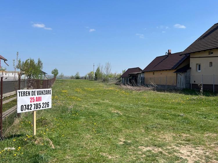 Parcela 2500 mp teren pentru constructie in Tisauti - 6