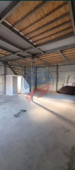 HALĂ DE &Icirc;NCHIRIAT - IDEALĂ PENTRU DEPOZITARE, PRODUCȚIE SAU ACTIVITĂȚI ECONOMICE - 4