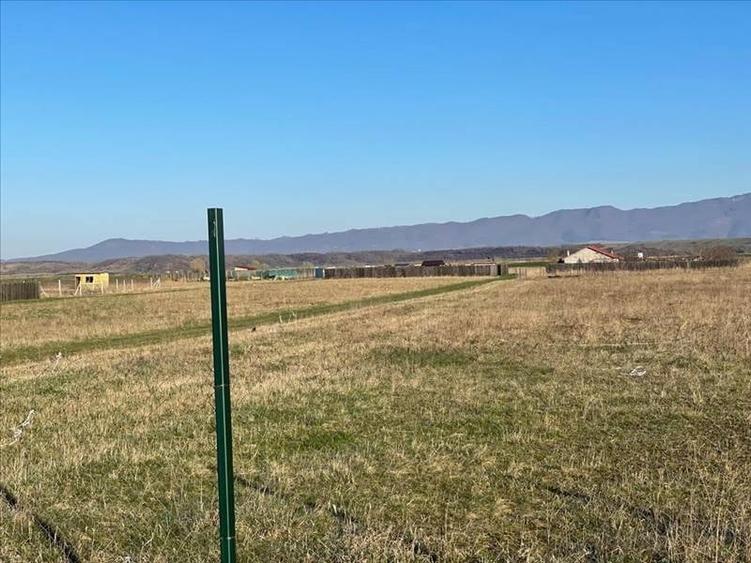 Vanzare terem pentru case Halchiu - 2