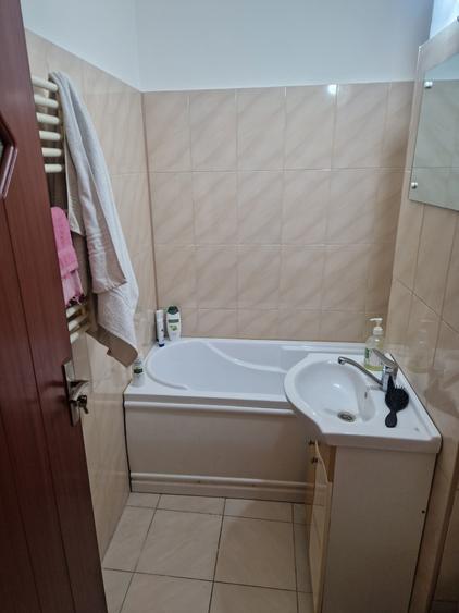 Lacul Tei, intre Parcul Circului si Parcul Tei, - 6