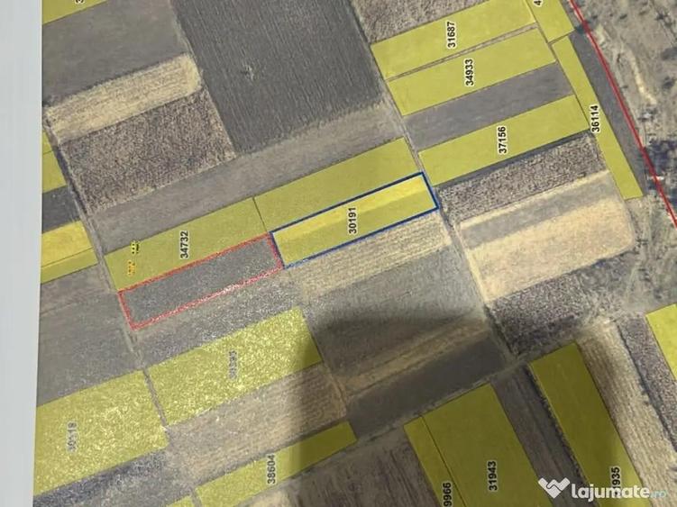 Teren extravilant - 1