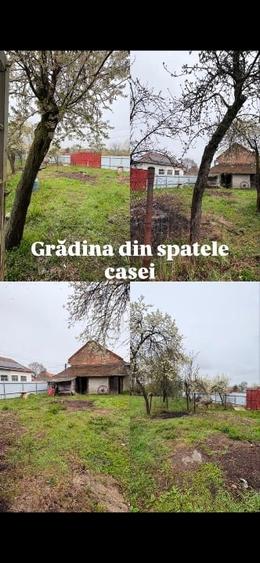 Casă + teren 2319 mp în centrul satului Sacoșu Mare, aproape de Lugoj - 9