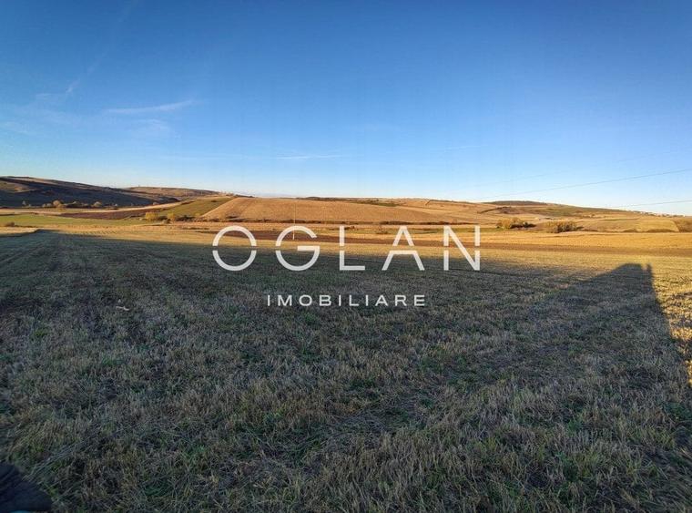 Teren intravilan cu PUZ pentru investitie - 26.100 mp - Sura Mare - 2