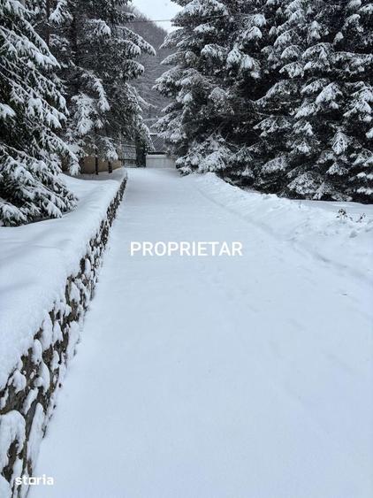 Vila superba de vanzare in statiunea Sinaia, langa Izvorul Dorului - 9