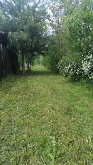 Vand teren extravilan cu pomi fructiferi pe rod - 3