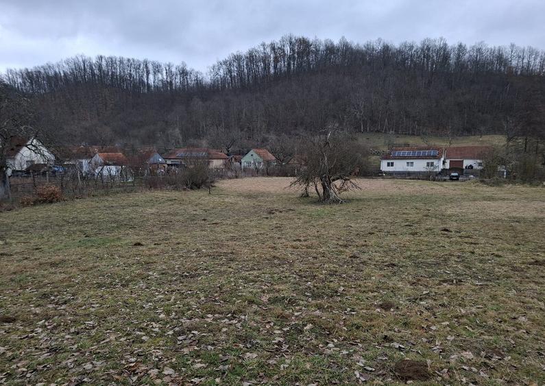 Teren intravilan - 1