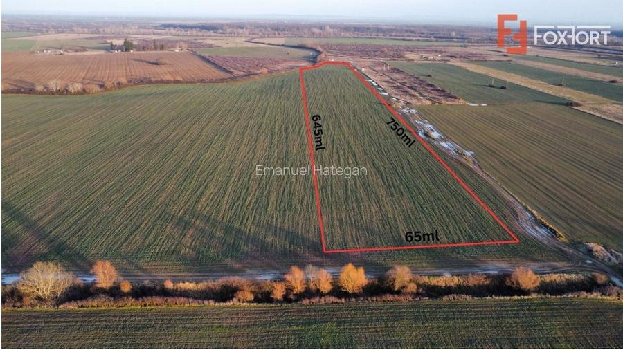 Teren extravilan arabil 50.890mp - aproape de centura Timisoara Sud