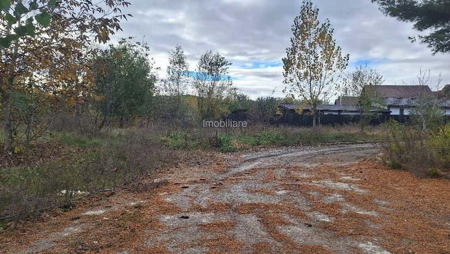 Teren Intravilan Curtea de Arges