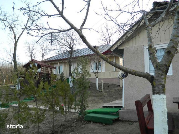 Casa langa primaria Probota - 3