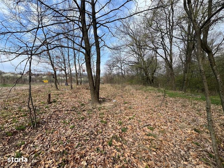 RECO Teren Saldabagiu de Munte - 1