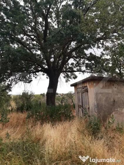 Casa P+1 renovabila, 1008 mp de teren, Sarbatoarea - 10