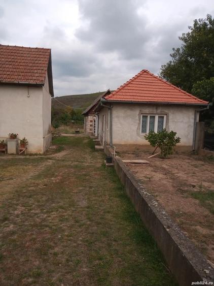 Vanzare casa in Pauli? - 4