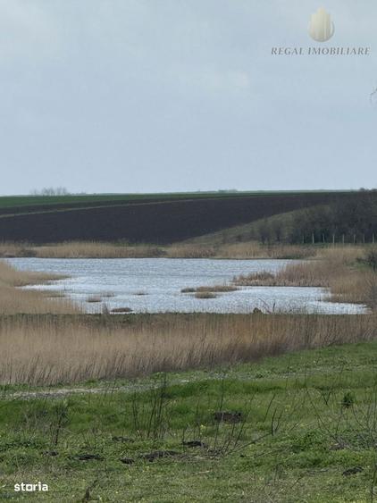 Teren Frumusani Gaz- Curent 400 mp | D.N. 4 - 1