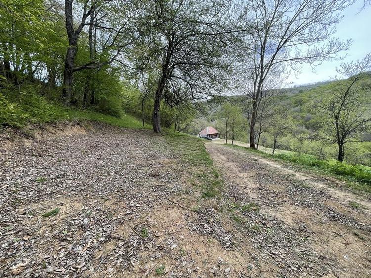 Casa ,livada si padure in com batrana jud hunedoara tinutul padurenilor - 8
