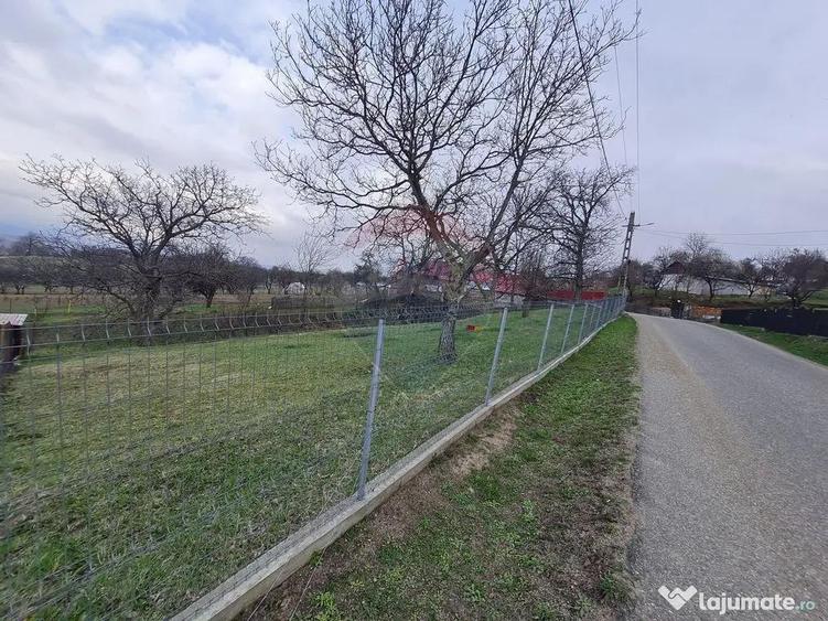 Teren intravilan la Strada Principala in Haulisca - 3