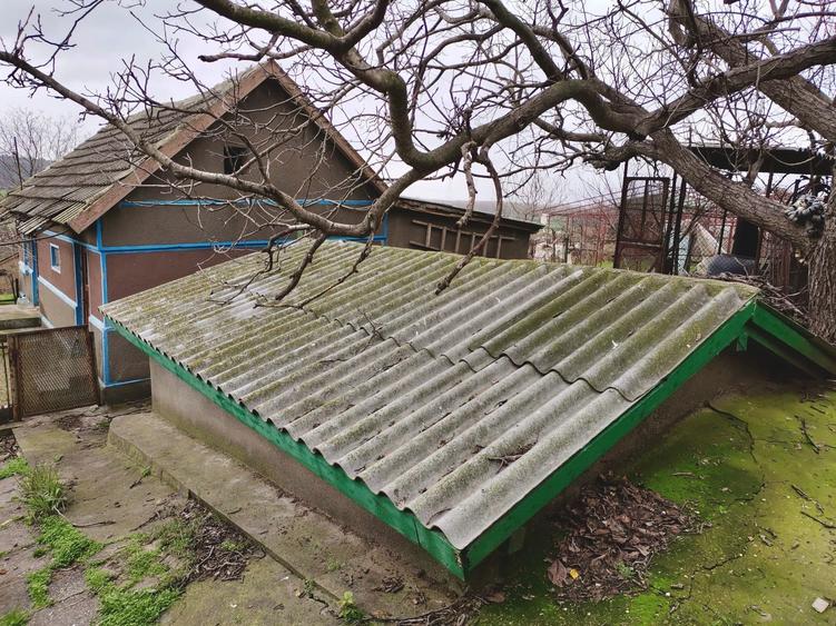 Seimenii Mici  Casa  Individuala 3 Camere Chirpici  S.teren  2100 Mp/42 Acte OK - 7