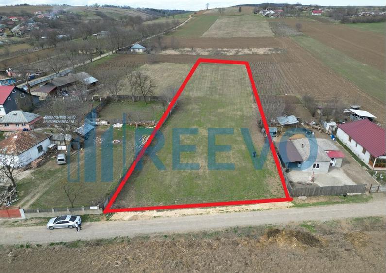 Teren de vanzare, Sat Bazga, Com. Horge?ti, Bacau - 11