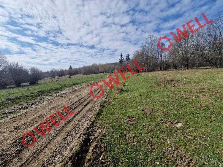 De vânzare teren extravilan în localitatea Brădet! - 11