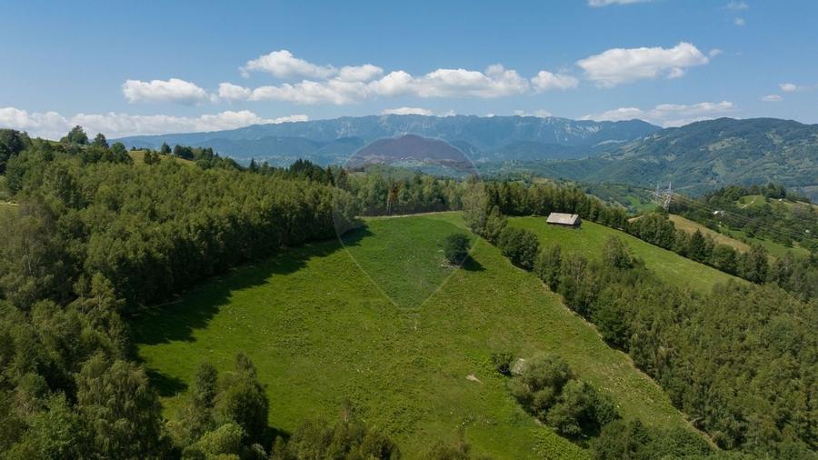 Teren Panoramic in Bran - Vedere spre Bucegi & Piatra Craiului - 12
