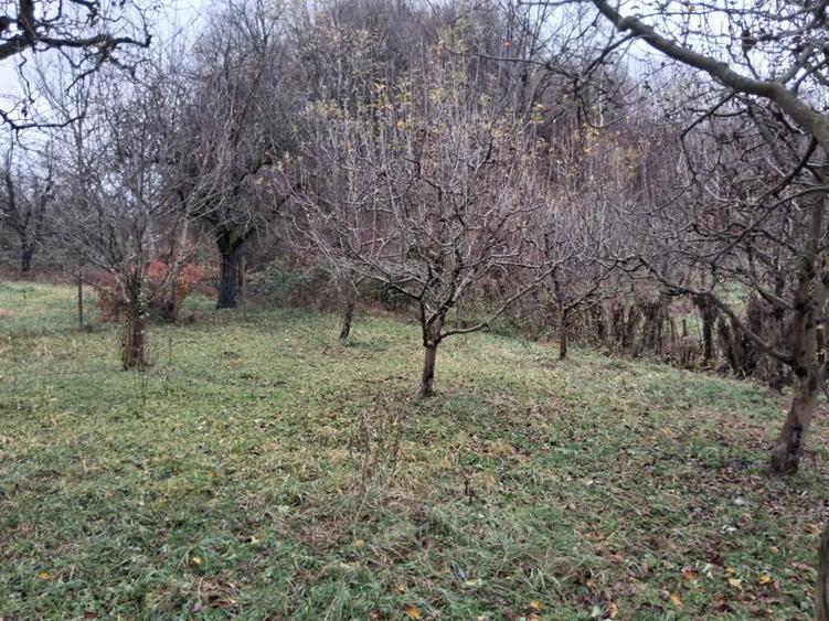 Casa cu 1000 m2 teren, 40 km Sinaia, 15km Pucioasa - 5