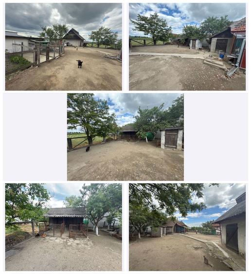 Ofer spre vanzare Casa + Teren 23 Ari in Comuna Craidorolt - 5