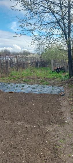 Casa + Hala de vanzare - 5