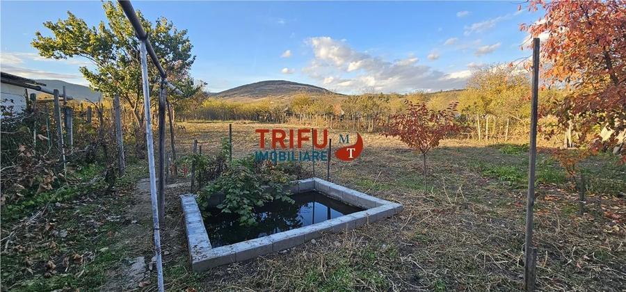 OFERTĂ!!! Casă în Cricău cu 1776mp teren, 1 ha teren arabil - 9