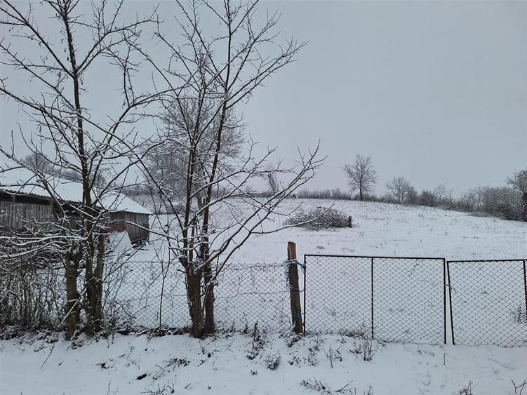 Reco, Casa 4 camere, Uileacul de Beius - 18