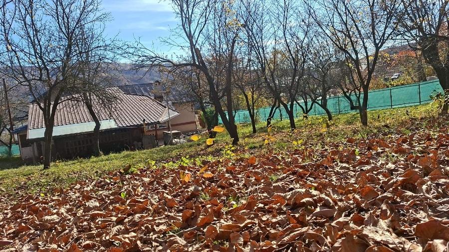 Proprietar vila Câmpulung Muscel str Dracesti 34 colt str Plaiesi - 6